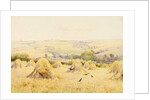 View of a Cornfield with Rooks by Harry E. James