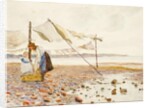The Shore by Marmaduke C. William Flower