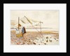 The Shore by Marmaduke C. William Flower