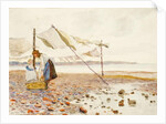 The Shore by Marmaduke C. William Flower