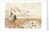 The Shore by Marmaduke C. William Flower