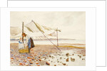 The Shore by Marmaduke C. William Flower