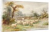 Landscape and Sheep by M.C. Parsons