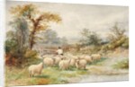 Landscape and Sheep by M.C. Parsons