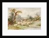 Landscape and Sheep by M.C. Parsons