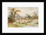 Landscape and Sheep by M.C. Parsons