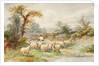 Landscape and Sheep by M.C. Parsons