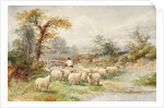 Landscape and Sheep by M.C. Parsons
