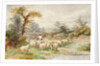 Landscape and Sheep by M.C. Parsons