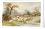Landscape and Sheep by M.C. Parsons