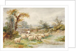 Landscape and Sheep by M.C. Parsons