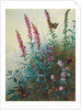 Purple Loosestrife and Watermint, c.1910-20 by Archibald Thorburn