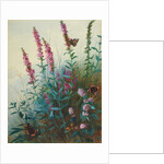 Purple Loosestrife and Watermint, c.1910-20 by Archibald Thorburn