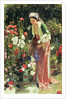 In the Bey's Garden, 1865 by John Frederick Lewis