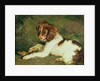 A Puppy teasing a Frog, 1824 by Edwin Landseer