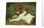 A Puppy teasing a Frog, 1824 by Edwin Landseer