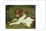 A Puppy teasing a Frog, 1824 by Edwin Landseer