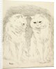 Pals by Louis Wain