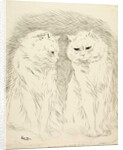 Pals by Louis Wain
