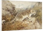 Snow Leopard, c.1920 by William Woodhouse