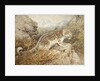 Snow Leopard, c.1920 by William Woodhouse