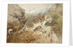 Snow Leopard, c.1920 by William Woodhouse