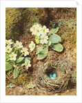 Primroses and Bird's Nest with Three Blue Eggs by William Henry Hunt