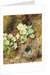 Primroses and Bird's Nest with Three Blue Eggs by William Henry Hunt