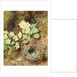 Primroses and Bird's Nest with Three Blue Eggs by William Henry Hunt