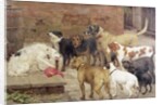 The Dog with his Master's Dinner, 1892 by Percy Harland Fisher