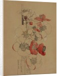 Japonica, 1910 by Charles Rennie Mackintosh