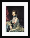 Queen Charlotte Sophia wife of King George III by Johann Zoffany