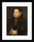 Portrait of an Unknown Lady, c.1550 by English School