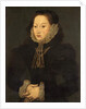 Portrait of an Unknown Lady, c.1550 by English School