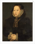 Portrait of an Unknown Lady, c.1550 by English School