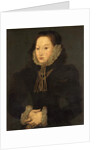 Portrait of an Unknown Lady, c.1550 by English School