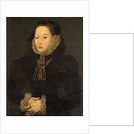 Portrait of an Unknown Lady, c.1550 by English School