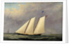 The Yacht 'America', 1851 by Arthur Wellington Fowles