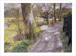 The Path by the Mill Pond, 1900 by Richard Henry Brock