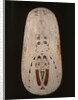 Shield, Trobriand Islands by Oceanic Oceanic