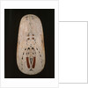 Shield, Trobriand Islands by Oceanic Oceanic