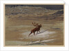 Stag, 1871 by Ernest Henry Griset