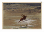 Stag, 1871 by Ernest Henry Griset