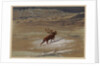 Stag, 1871 by Ernest Henry Griset