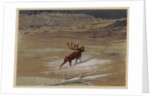 Stag, 1871 by Ernest Henry Griset