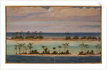 Triptych of an Atoll, 1871 by Ernest Henry Griset