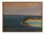 Triptych of an Atoll, 1871 by Ernest Henry Griset