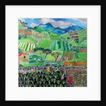 Cabbages and Lilies, Solola Region, Guatemala, 1993 by Hilary Simon