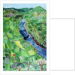 River Agung, Bali, 1996 by Hilary Simon