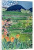Lovina Ricefields with Lilies and Frangipani, Bali, 1996 by Hilary Simon